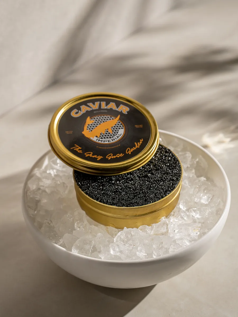 Tiramisu "Black Caviar"