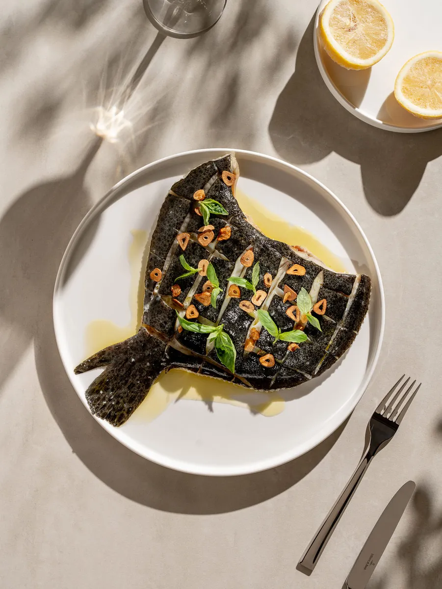 Turbot